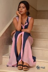 Anu Emmanuel At Majnu Movie Audio Success Meet